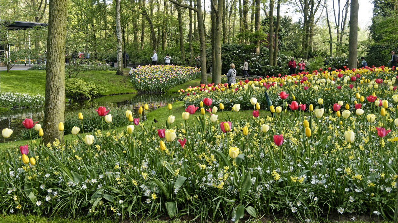 20140423 100121 Keukenhof Gardens, Lisse, South Holland, Netherlands